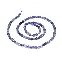 Natural Iolite Beads Strands&nbsp;G-I249-A04