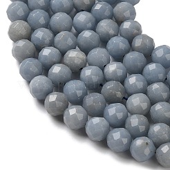 Natural Angelite Beads Strands&nbsp;G-C268-C01