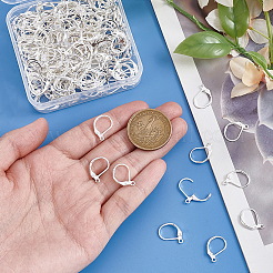 100Pcs 316L Surgical Stainless Steel Leverback Earring Findings&nbsp;STAS-BBC0010-61S