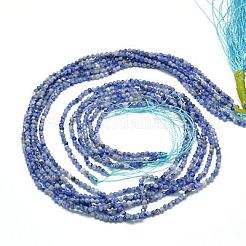 Natural Sodalite Beads Strands&nbsp;X-G-J002-09