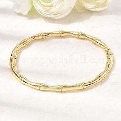 Brass Hinged Bangles for Women&nbsp;BJEW-H639-05G