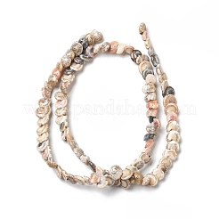 Natural Spiral Shell Beads Strands&nbsp;BSHE-G029-06
