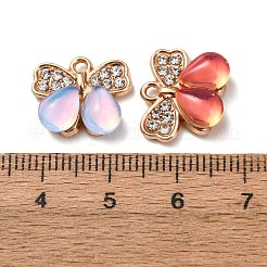 Alloy Glass Pendants&nbsp;FIND-K030-12G