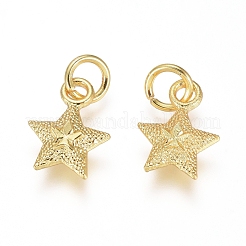 Electroplated Alloy Charms&nbsp;X-PALLOY-G267-09G