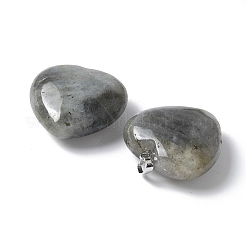 Natural Labradorite Pendants&nbsp;G-A259-02P-02