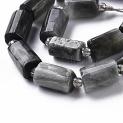 Natural Hawk's Eye Beads Strands&nbsp;G-S345-8x11-009
