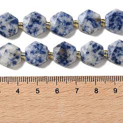 Natural Blue Spot Jasper Beads Strands&nbsp;G-H344-B02-01