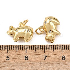 Brass Cubic Zirconia Pendants&nbsp;X-KK-L251-53G