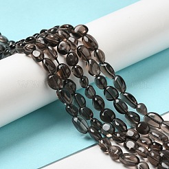 Natural Ice Obsidian Beads Strands&nbsp;X-G-P497-01A-15