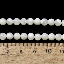 Natural Trochid Shell/Trochus Shell Beads Strands&nbsp;SH-CBA2978-16A