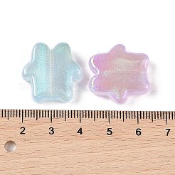 Transparent Acrylic Beads&nbsp;OACR-Z020-19