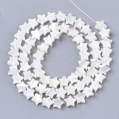 Natural Trochid Shell/Trochus Shell Beads Strands&nbsp;SHEL-T013-007A-01