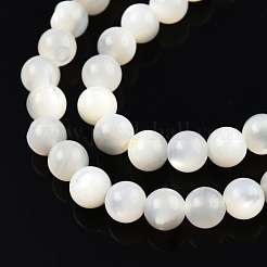 Natural White Shell Bead Strands&nbsp;SSHEL-N003-144D-01
