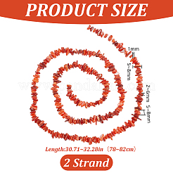 Natural Freshwater Shell Beads Strands&nbsp;BSHE-WH0006-05C