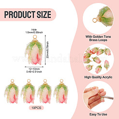10Pcs Transparent Acrylic Pendants&nbsp;SACR-TA0001-66B