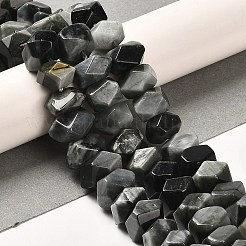 Natural Eagle Eye Stone Beads Strands&nbsp;G-N327-05-15