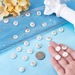 24Pcs 12 Styles Natural Freshwater Shell Beads&nbsp;SHEL-TA0001-42