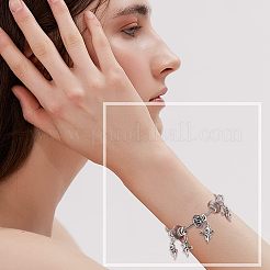 36Pcs Tibetan Style Alloy European Dangle Charms&nbsp;FIND-CA0005-60