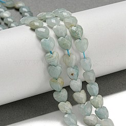 Natural Flower Amazonite Beads Strands&nbsp;G-P544-E13-01