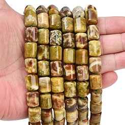 Natural Dragon Blood Jasper Beads Strands&nbsp;G-S396-03C