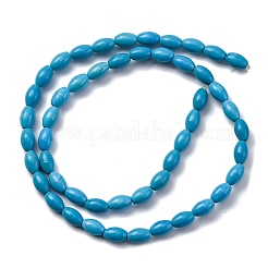 Synthetic Howlite Beads Strands&nbsp;G-F783-B01-01