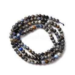 Natural Lapis Lazuli Beads Strands&nbsp;G-L629-B01-3mm-03