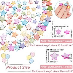 2 Strands 2 Styles Natural Freshwater Shell Beads Strands&nbsp;SHEL-NB0001-47