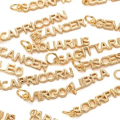 24Pcs 12 Style Golden Brass Pendants&nbsp;KK-LS0001-45