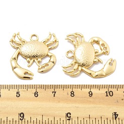 Brass Pendants&nbsp;KK-B134-09G