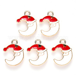 Alloy Enamel Pendants&nbsp;ENAM-S121-008