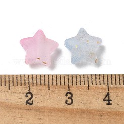 Frosted Acrylic Charms&nbsp;OACR-M023-04G