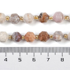 Natural Fossil Coral Beads Strands&nbsp;G-O201B-113F