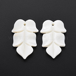 Natural Freshwater Shell Beads&nbsp;SHEL-S276-156