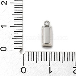 304 Stainless Steel Charm&nbsp;STAS-L022-242P-08