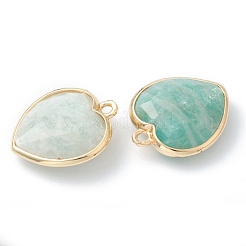 Natural Amazonite Pendants&nbsp;G-B009-03G-B