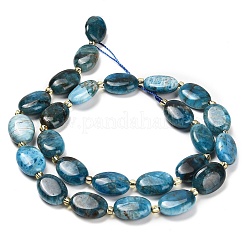 Natural Apatite Beads Strands&nbsp;G-H005-A03-02