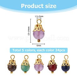120Pcs Natural Mixed Gemstone Round Charms&nbsp;G-HS0001-06