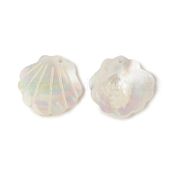 Natural Sea Shell Pendants&nbsp;X-SSHEL-T012-11