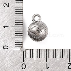 Non-Tarnish 304 Stainless Steel Charms&nbsp;STAS-Z077-05P
