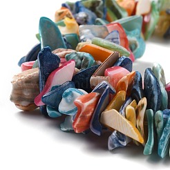 Natural Spiral Shell Beads&nbsp;X-BSHE-B003-17
