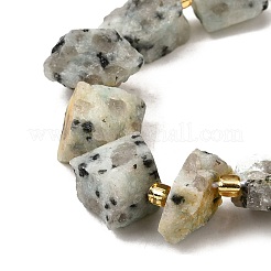Raw Rough Natural Seaame Jasper Beads Strands&nbsp;G-Z087-A10