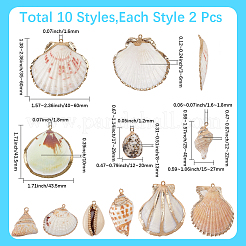 20Pcs 10 Styles Electroplated Natural Mixed Shell Pendants&nbsp;SHEL-SC0002-08