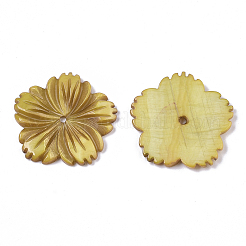 Natural Freshwater Shell Beads&nbsp;X-SHEL-N026-10