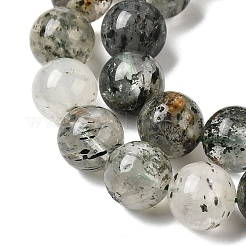 Natural Fuchsite Beads Strands&nbsp;G-K285-40D-1