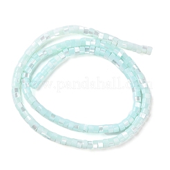 Natural Trochus Shell Dyed Beads Strands&nbsp;BSHE-E030-10B