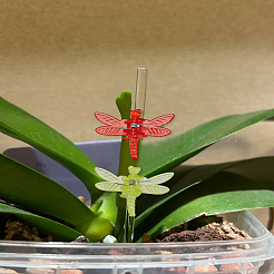 40Pcs 8 Colors Dragonfly Plastic Plant Fixator&nbsp;KY-LP0001-31