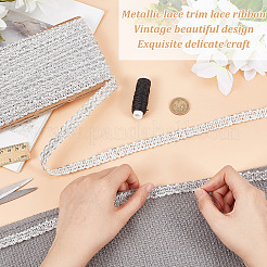 Polyester Braided Lace Ribbons&nbsp;OCOR-WH0060-73B