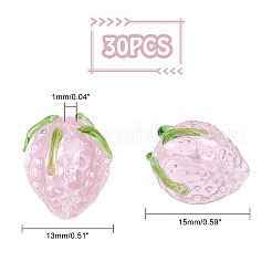 30Pcs Handmade Lampwork Beads&nbsp;LAMP-PH0002-21