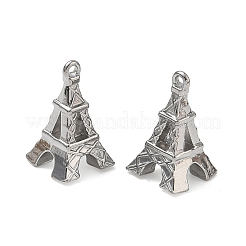304 Stainless Steel Pendants&nbsp;SA-CBAD574-01P