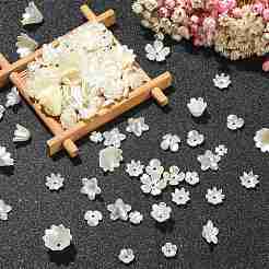 300Pcs ABS Plastic Imitation Pearl Flower Bead Caps&nbsp;KY-CJ0001-59